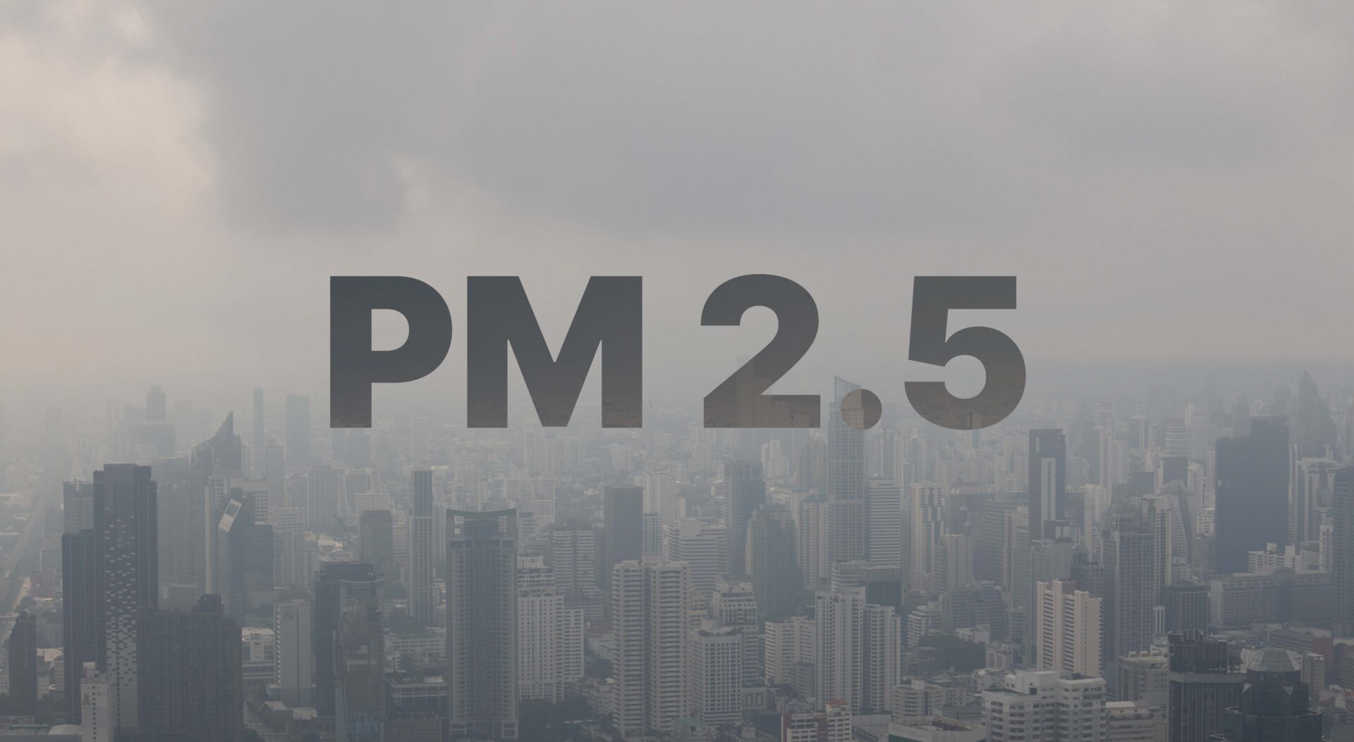 ป้องกันฝุ่น PM2.5
