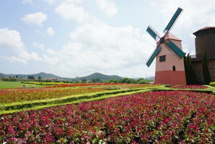 Silver Lake ไร่องุ่น
